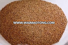 Durum Wheat, Spelt Grain, Barley, Malt, Feed Wheat, Food Grade Wheat